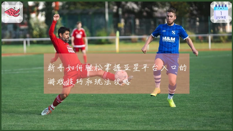 新手如何轻松掌握亚星平台入口的游戏技巧和玩法攻略