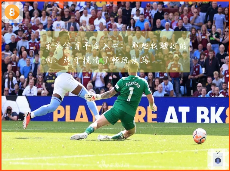 乐竞体育平台入口：那些我趟过的坑，终于摸清了畅玩诀窍