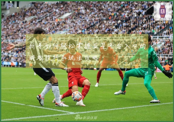 新手如何轻松掌握亚星平台入口的游戏技巧和玩法攻略